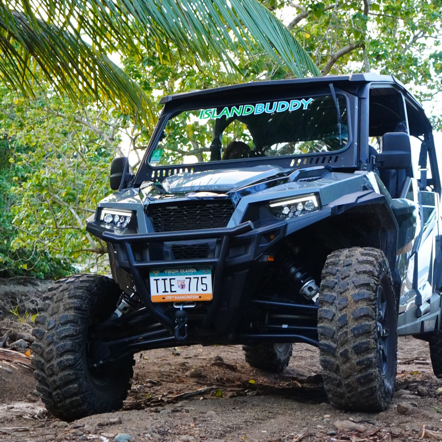 island buddy St thomas St john buggy utv rental